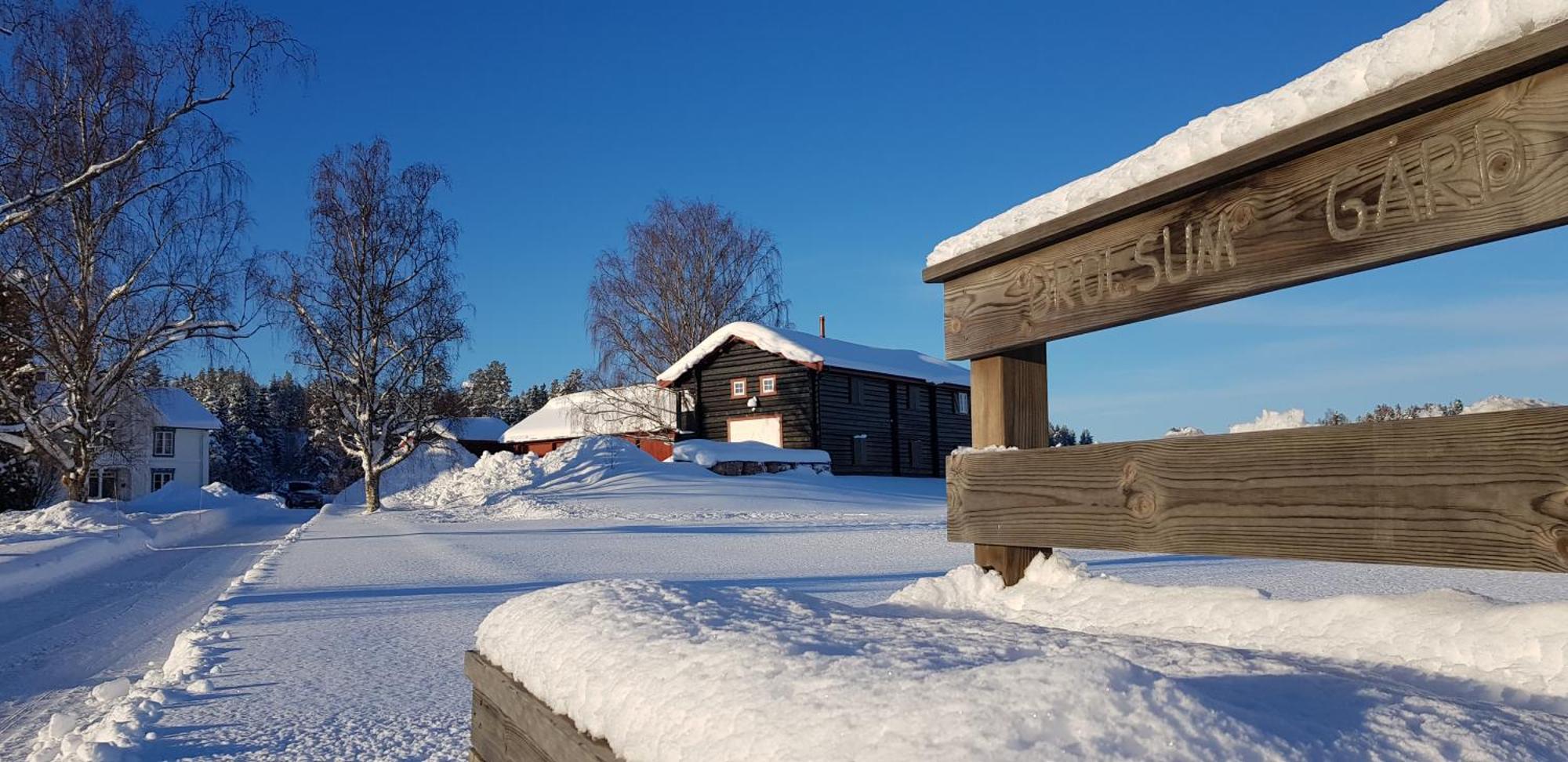 Drolsum Gård Leilighet *