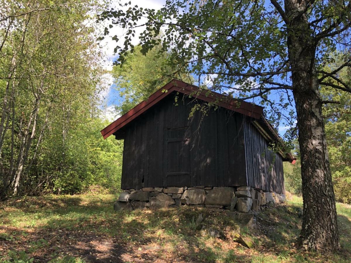 Drolsum Gard Apartment Vikersund