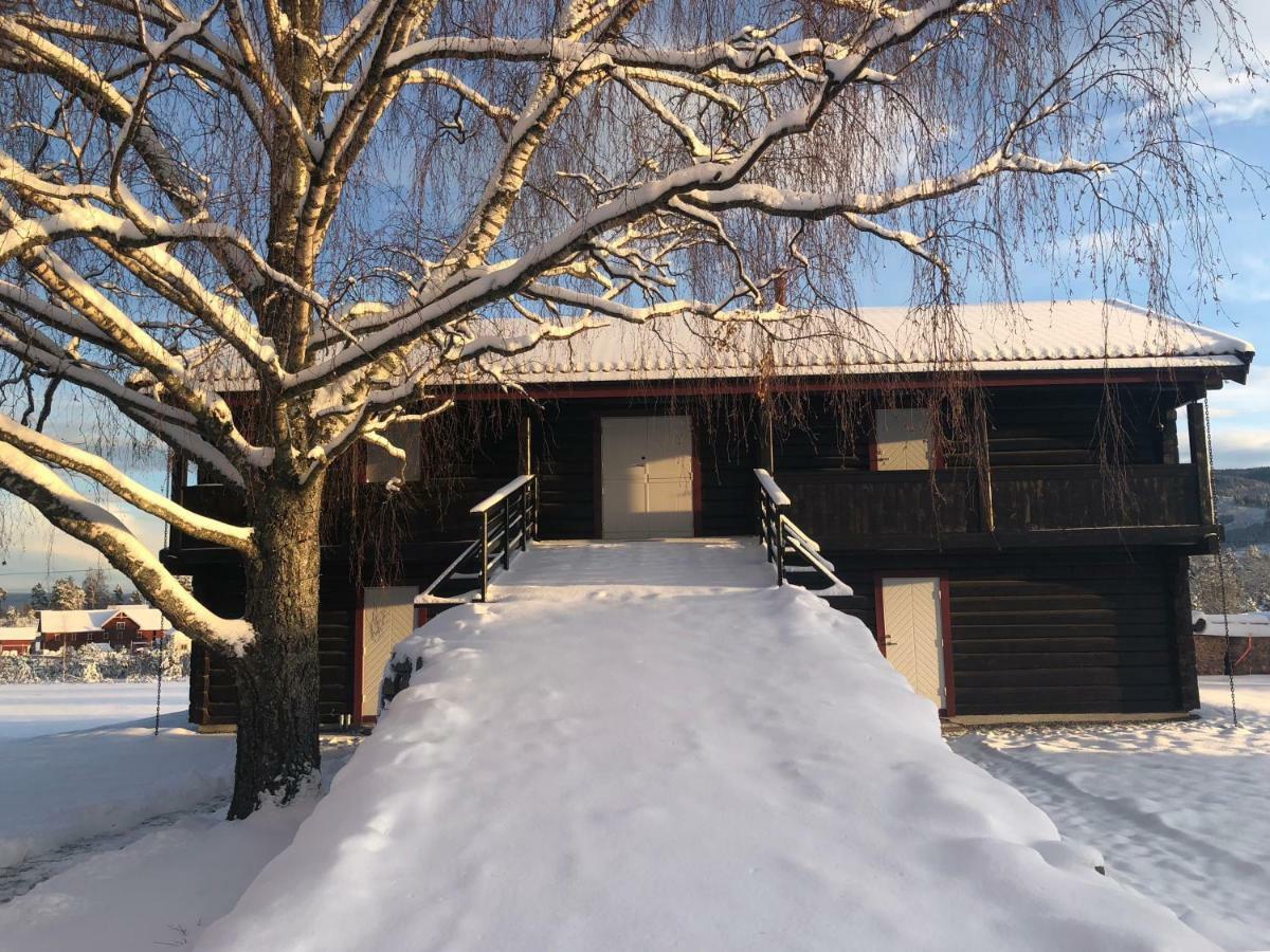 Drolsum Gard Apartment Vikersund